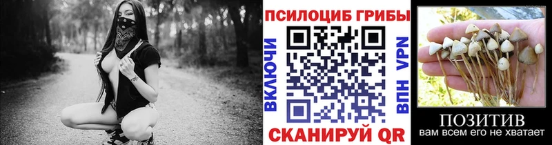 Псилоцибиновые грибы Cubensis  darknet наркотические препараты  Заозёрск  магазин   
